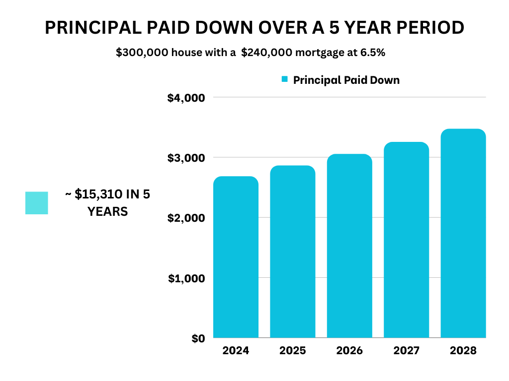 A data chart displaying real estate investing principal paid down over a 5 year period.